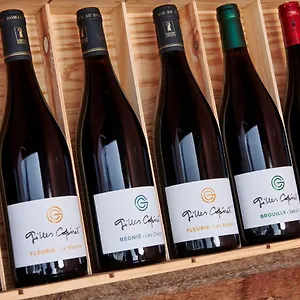 Domaine Gilles Coperet- Artisan-vigneron- D'hotes Les Glycines - Frühstückspension